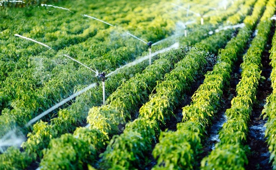 Automatic Irrigation System