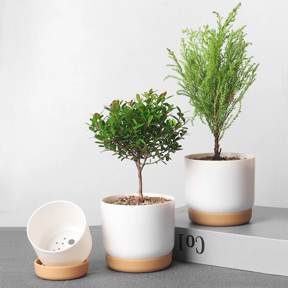 Outdoor Planter Pots